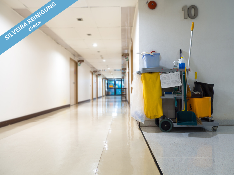 Gebäudereinigung in Dietikon